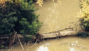 Scandiano, chiuso il ponte tra Iano e Ca’ de Caroli