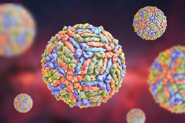 Scandiano, sorveglianza e controllo dell’infezione dal virus West Nile