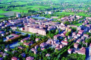 Scandiano, abbattimento pianta in viale Repubblica per messa in sicurezza