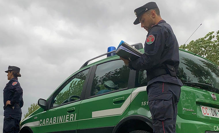 Controlli negli allevamenti reggiani dei carabinieri forestali: due agricoltori sanzionati