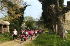 Tornano gli appuntamenti con Scandiano Cammina, in giro per il territorio col CAI