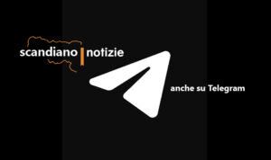 Da oggi potete seguirci anche su Telegram