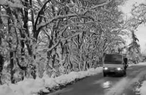 A Casalgrande temperature bassissime, vicine allo zero o addirittura sotto, nella giornata appena passata