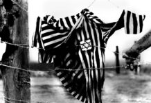 “La Giornata della Memoria”, le iniziative del Comune di Casalgrande