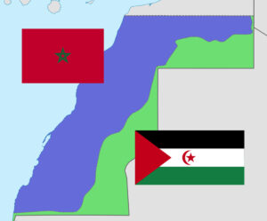Presentato a Casalgrande un progetto di accoglienza per il popolo Saharawi