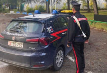 Furto a Novellara. Arrestato un 28enne